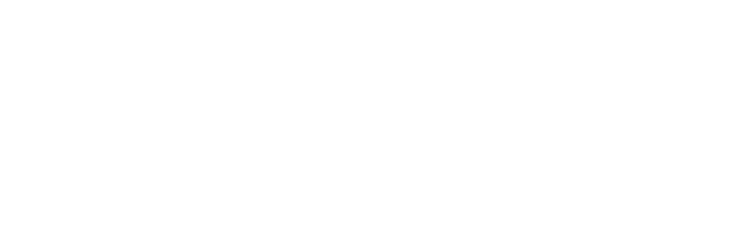 bizstartup.sbs